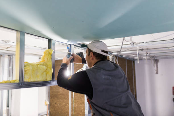 Best Eco-Friendly Insulation in Bowling Green, OH